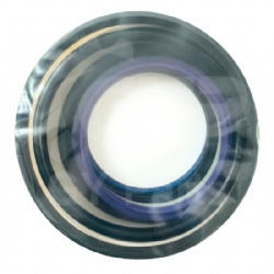 Arm Cylinder Seal Kit 199-7427 1997427 for Caterpillar #Arm Cylinder Seal Kit #199-7427 #1997427 #CAT 199-7427 1997427 Arm Cylinder Seal Kit